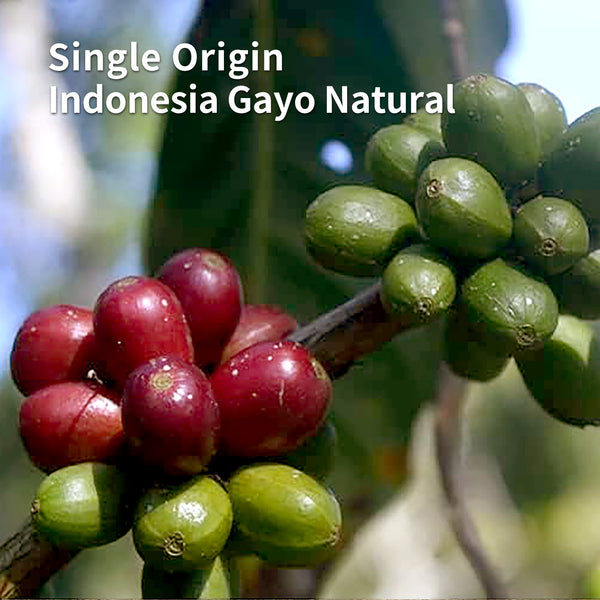 Single Origin Ethiopia Yirgachefe Demerso Natural